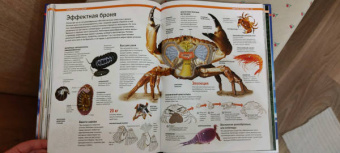 Малиция, Сориано, Фернандес: Тайны планеты Земля. Большая иллюстрированная энциклопедия