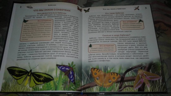 Людмила Соколова: Энциклопедия. Бабочки