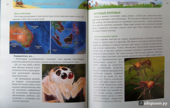 Ольга Тяжлова: Удивительные животные