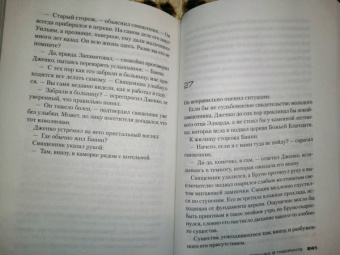 Донато Карризи: Девушка в лабиринте