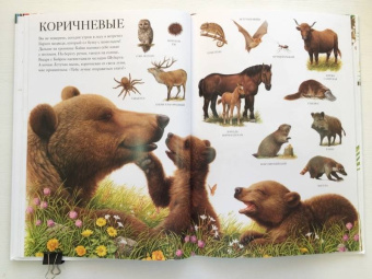 Селин Потард: Большой атлас животных