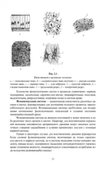 Позняковский, Дроздова, Влощинский: Физиология питания. Учебник