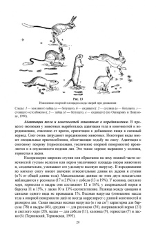 Анатолий Суворов: Основы полевых наблюдений. Полевое следопытство. Учебник для ВУЗов