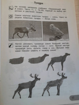 Анна Предит: Изобразительное искусство. Мы раскрасим целый свет 4 класс. Тетрадь для внеурочной деятельности