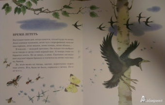 Анатолий Тумбасов: Телеграмма