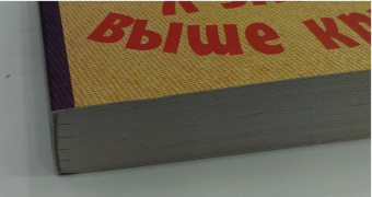 Татьяна Луганцева: Я залезу выше крыши