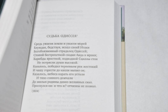 Баратынский, Дельвиг, Вяземский: Поэты пушкинской поры