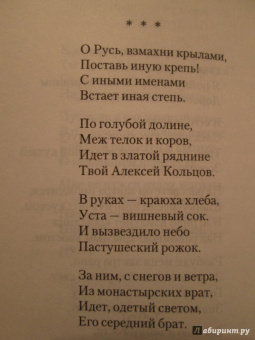 Сергей Есенин: Я московский озорной гуляка