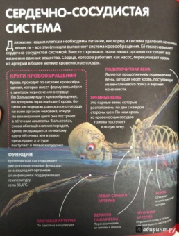 Как устроен человек. Энциклопедия для детей