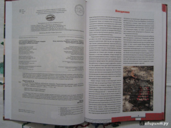 Юрий Подольский: Печи, мангалы, барбекю, коптильни, тандыры. Проектируем и делаем сами