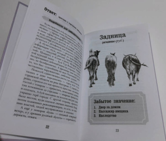 Лилия Гущина: Словарные игры и не только. Ики, пики, грамматики
