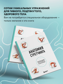 Анатомия стретчинга. Большая иллюстрированная энциклопедия