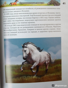 Леся Калугина: Хочу знать. Лошади