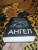 Катерина Даймонд: Ангел