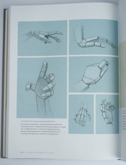 Роберто Ости: Основы анатомии человека. Наглядное руководство для художников