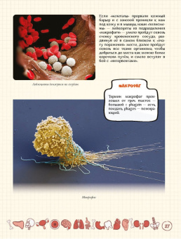 Ольга Соколова: Как устроен человек и зачем ему врачи?