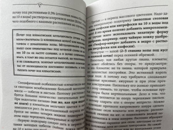 Галина Кизима: Неприхотливый цветник. Правила и советы для начинающих