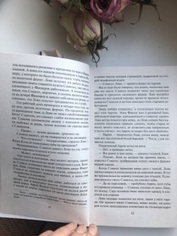 Джоди Пиколт: Простая правда