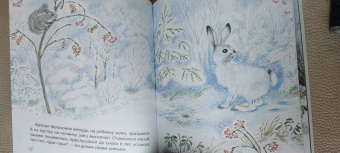 Наталья Чарушина-Капустина: Жил да был в лесу бельчонок