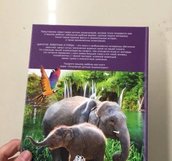 Джунгли. Животные и птицы