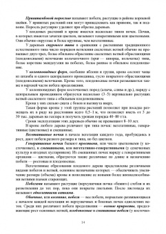 Кривко, Турчин, Фалынсков: Плодоводство. Учебник для СПО