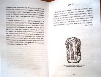 Ральф Блюм: Книга Рун:  Руководство по пользованию древним Оракулом. Руны викингов