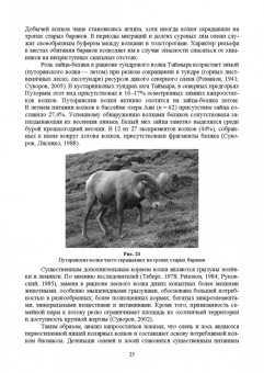 Анатолий Суворов: Основы полевых наблюдений. Следы жизнедеятельности зверей и птиц. Учебник для СПО