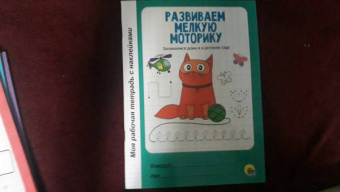 Развиваем мелкую моторику