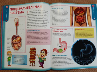 Детская энциклопедия для почемучек от 6 до 12 лет