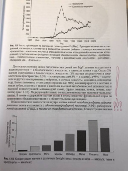 Громова, Торшин: Магний и "болезни цивилизации". Практическое руководство