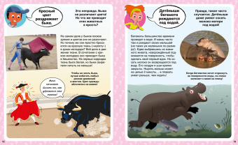 Кэти Франко: Правда или нет? 100 вопросов и ответов в картинках