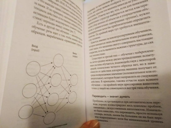 Юбер Кривин: Понимать, но не предвидеть. Предвидеть, но не понимать