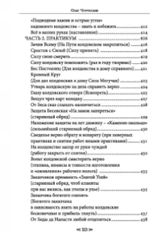 Олег Чуруксаев: Школа Ворона и Волка. Том 2