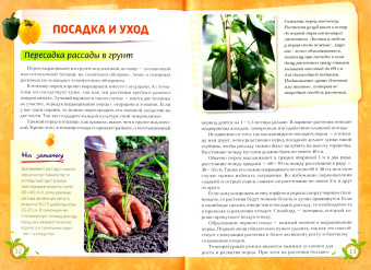 Анна Белякова: Перец. Богатый урожай без ошибок