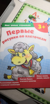 Валентина Дмитриева: Первые рисунки по клеточкам