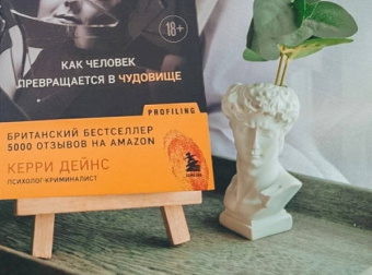 Кэрри Дейнс: Темная сторона разума. Истории из практики психолога-криминалиста