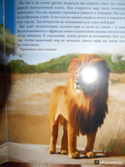 Владислав Щербак: Хочу знать. Львы