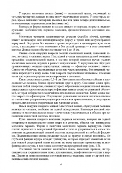 Федотов, Авдеенко, Белозерцева: Ветеринарная маммология. Учебник