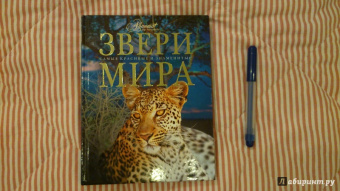 Звери мира