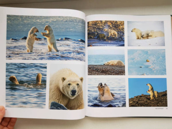 Россия - самая красивая страна. Фотоконкурс 2020