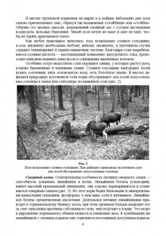 Анатолий Суворов: Основы полевых наблюдений. Следы жизнедеятельности зверей и птиц. Учебник для СПО