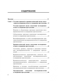 Вестов, Глухова, Разгельдеев: Уголовно-правовые проблемы ответственности несовершеннолетних