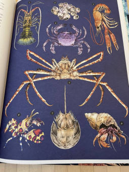 Лавдэй Триник: Океанариум