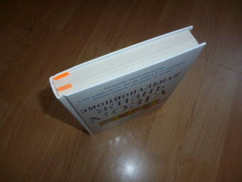 Дэвидсон, Бегли: Эмоциональная жизнь мозга