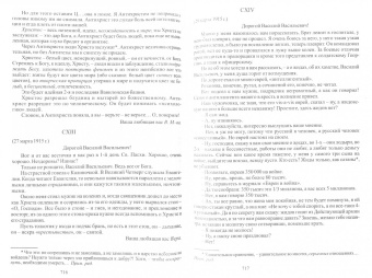 Василий Розанов: Собрание сочинений. Том 29. Религия и культура