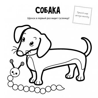 Животные