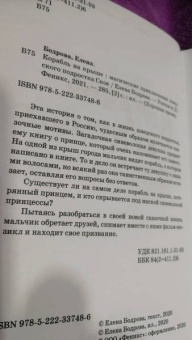 Елена Бодрова: Корабль на крыше. Магические приключения шведского подростка Ское