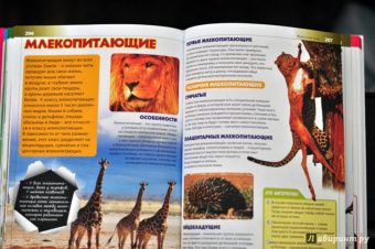 Новая детская энциклопедия