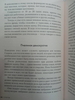 Фридрих Хайнбух: Пчелы. Что человек и пчела значат друг для друга