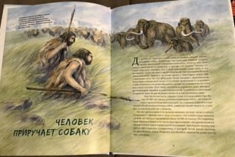 Савва Сафонов: Ездовые собаки. Великий транспорт Севера